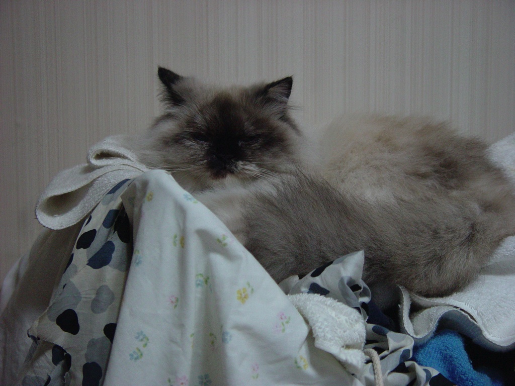 Betty