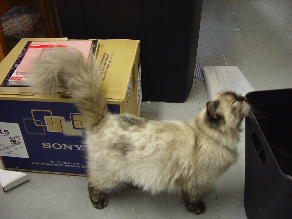 Betty is marking